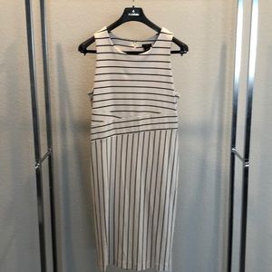 Ann Taylor size 14 white with pinstripe sheath